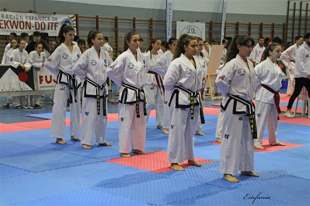 Copa Seul 2018 (302).jpg